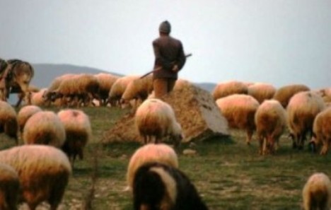 Çoban erməni polisi ölümcül döydü